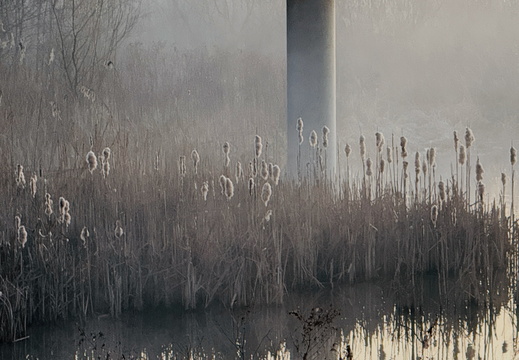 250313-Vechtstreek - 16